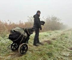 Bike Trailer