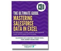 Mastering Salesforce Data in Excel - Brainiate Academy