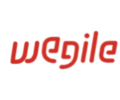 Top Mobile App Development Company in 2024 | Wegile