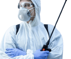 Pest management Melbourne