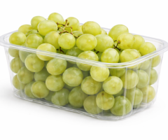 Fruit Punnets Wholesale – Direct from Shanghai, China | Naturehydro