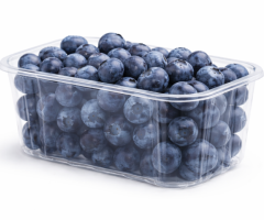 Fruit Punnets Wholesale – Direct from Shanghai, China | Naturehydro - Image 2