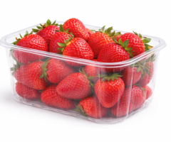 Fruit Punnets Wholesale – Direct from Shanghai, China | Naturehydro - Image 3