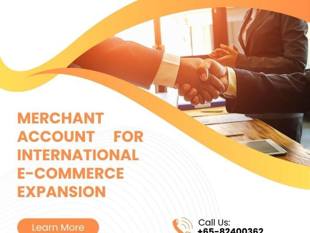 Global Transactions Made Easy: Merchant Account for International E-commerce Expansion - 1