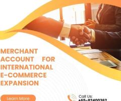 Global Transactions Made Easy: Merchant Account for International E-commerce Expansion