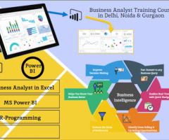 Skills India Business Analytics Certification Training Course in Delhi, 110018 ,100% Job